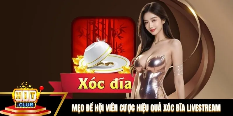 Mẹo để hội viên cược hiệu quả Xóc đĩa livestream Mẹo để hội viên cược hiệu quả Xóc đĩa livestream